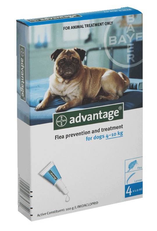 Advantage Spot-on Flea Treatment for Small Dogs (Turquoise / 4 pippets)